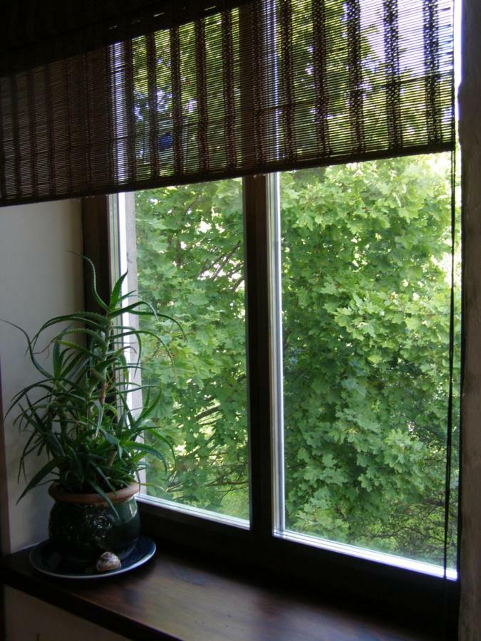 Apartment Sinika